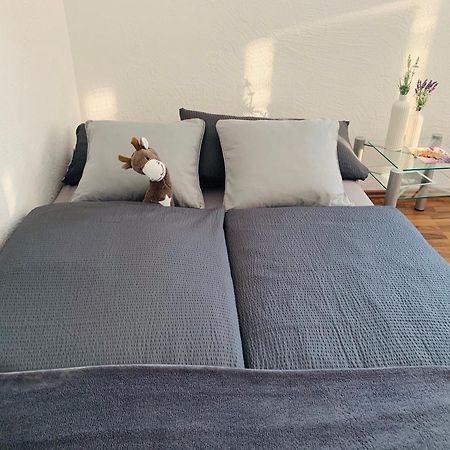 Schoene Wohnung In Roefingen Rofingen ภายนอก รูปภาพ